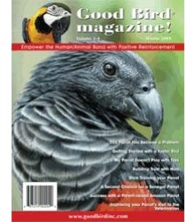 Good Bird Magazine Winter 2009