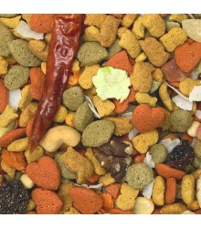 InTune Harmony Parrot 3 lb