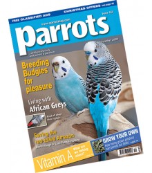 Parrots Magazine 2009