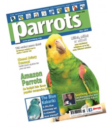Parrots Magazine 2010