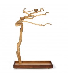 Java Tree Medium 5 feet