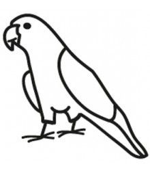 Conure Decal