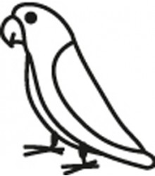Parrotlet Decal