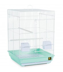 Economy Bird Cage 