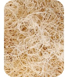 Shredded Foraging Wood