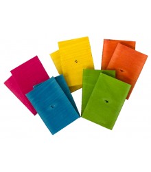 Coloured Basswood Slices