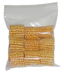 Dried Corn (drilled & undrilled)