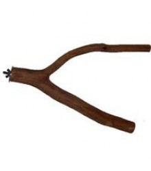 Dragonwood Y Branch 10" - 12"