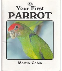 Your First Parrot