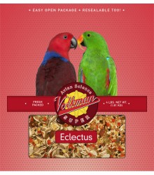 Volkman Seed Eclectus