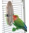 Jungle Cuttlebone Holder