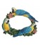 Macaw Picture Frame