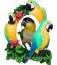 Macaw Picture Frame