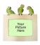 Amazon Parrot Picture Frame