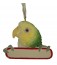 Ornament - Amazon