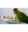 Horizontal Millet Holder