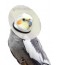 Safety Collars