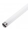Fluorescent Lamp 2 feet