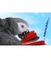 Mug African Grey