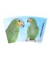 Mug Orange Wing Amazon