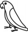 Parrotlet Decal