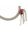 Swivel Swing Small