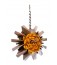 Balsa Wheel