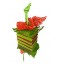 Balsa Wrap