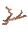 Grapewood Tree Tall