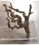 Grapewood Tree Medium