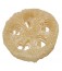 Loofah Stuffer