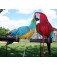 Aviator Yard Perch