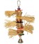 Tassel Time