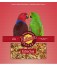 Volkman Seed Eclectus