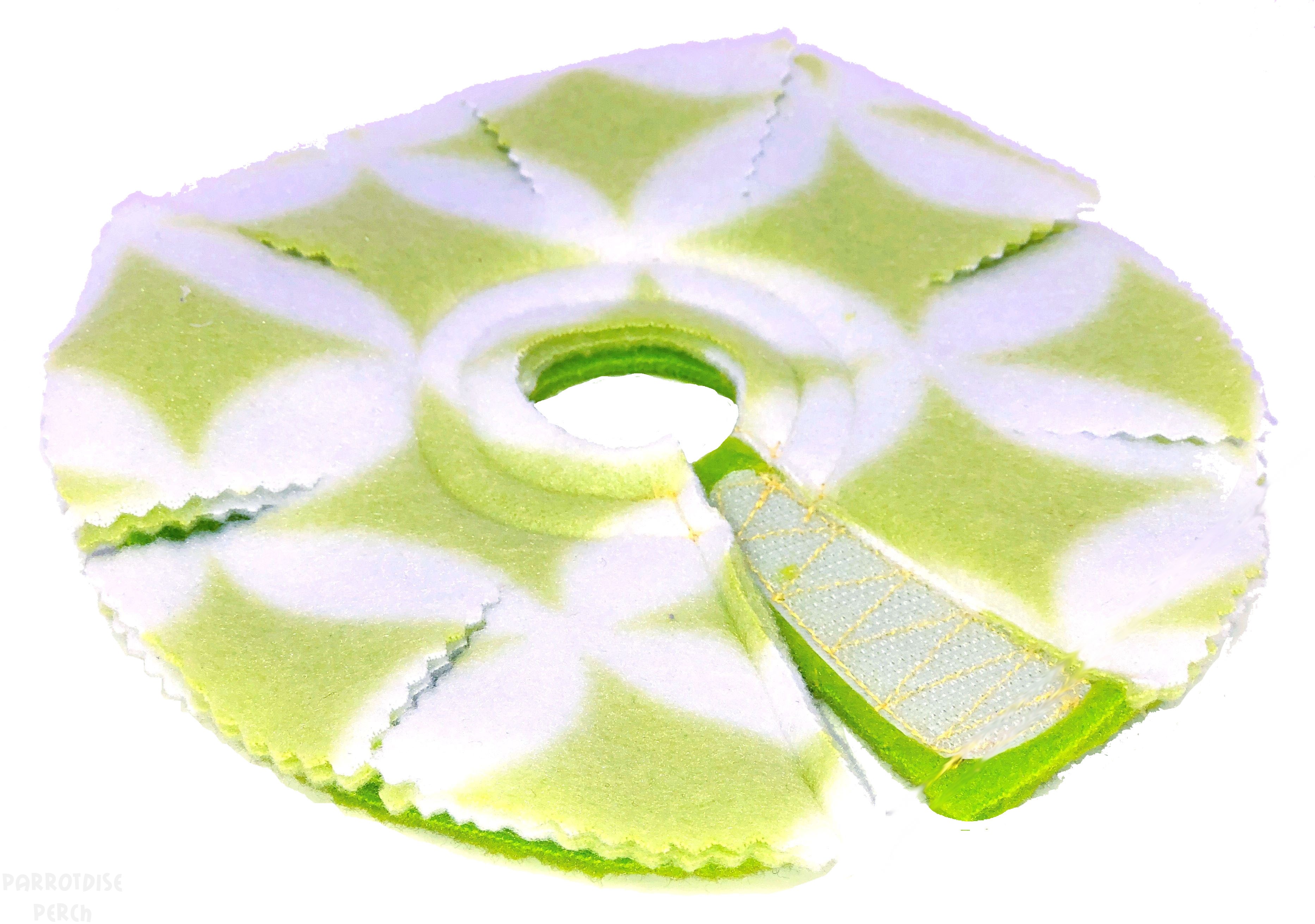 Collar with Velcro