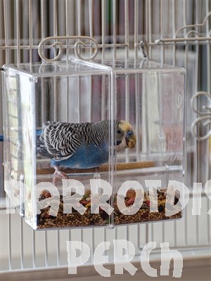 Seed Corral - Small