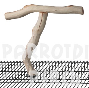 Cage Top Sandblasted Manzanita T-Perch