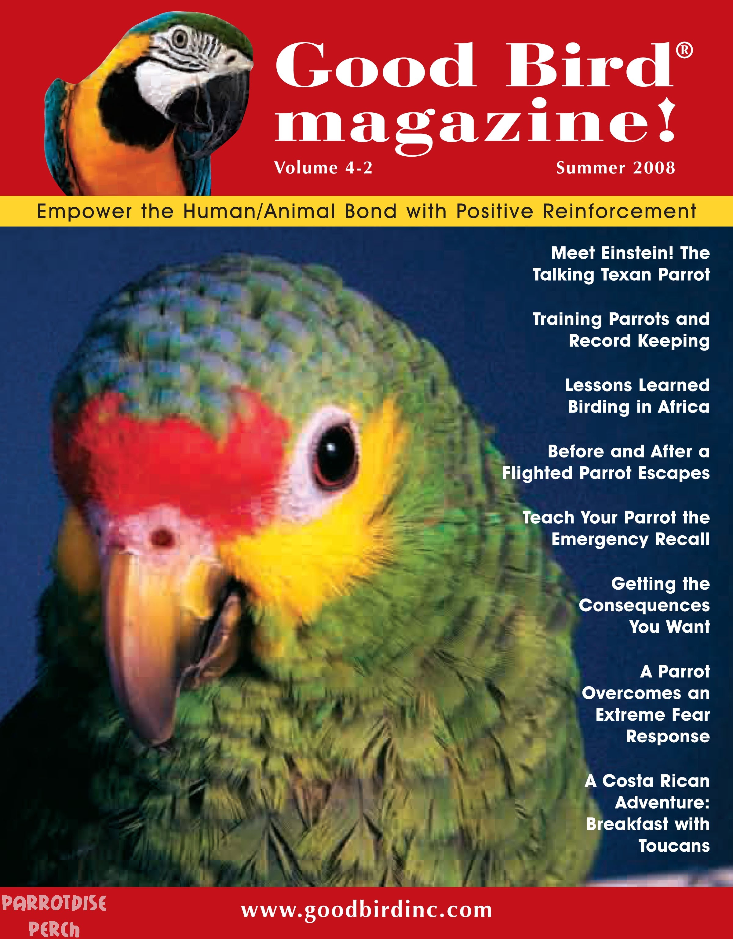 Good Bird Magazine Summer 2008