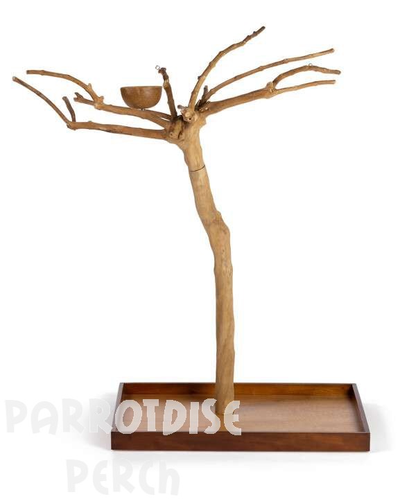 Java Tree Extra Small