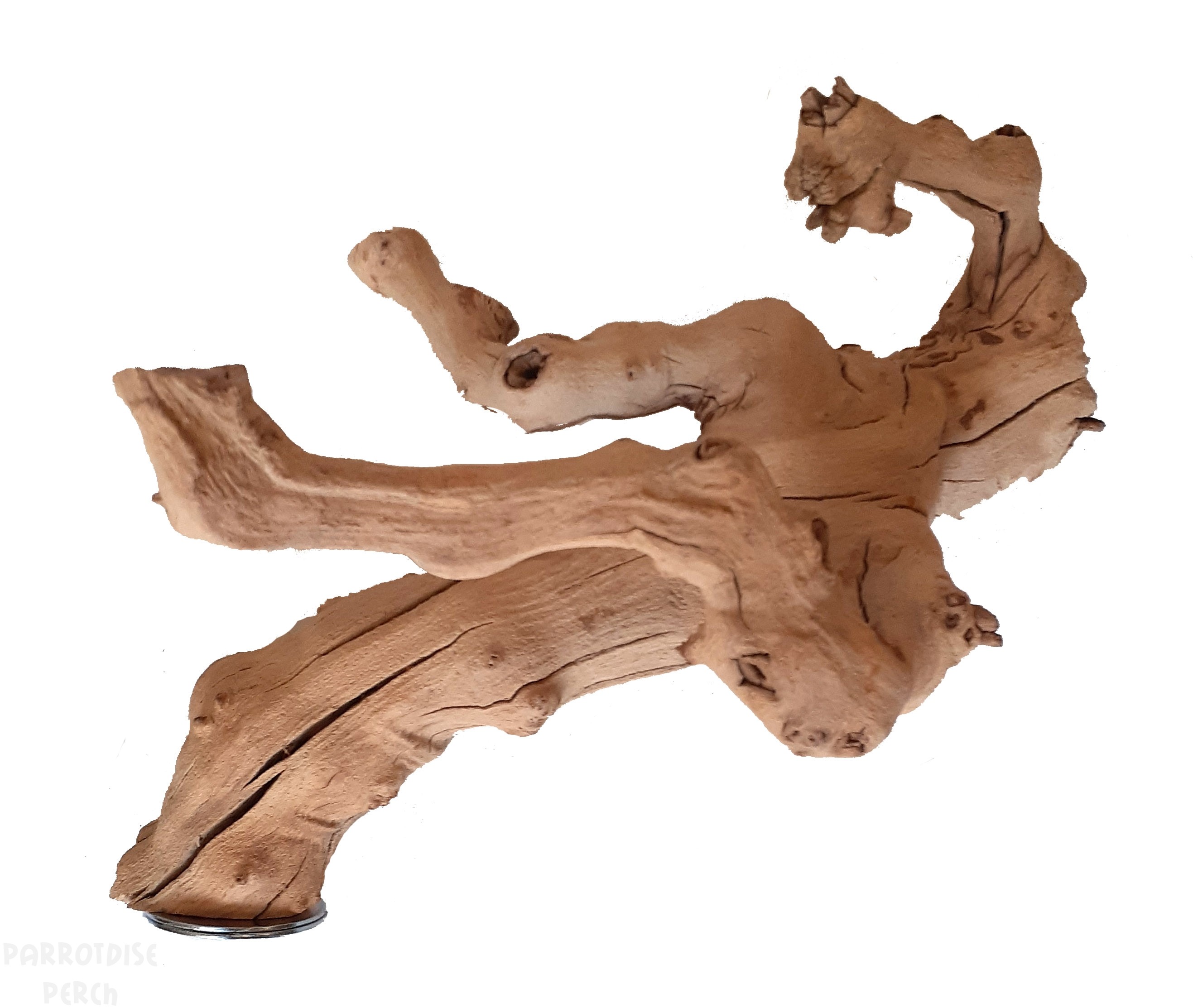 Grapewood Tree Tall