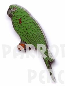 Hahns Macaw Pin