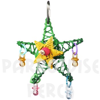 Christmas Star