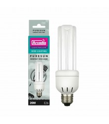 Fluorescent Compact Light