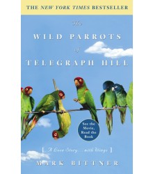 Wild Parrots of Telegraph Hill