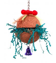 Coconut Craze