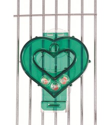Mastermind Heart