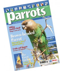 Parrots Magazine 2016