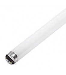 Fluorescent Lamp 2 feet