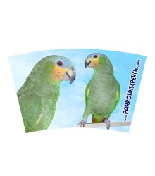 Mug Orange Wing Amazon