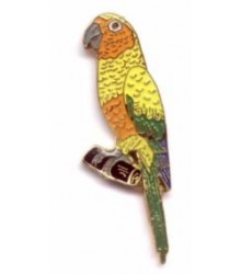 Sun Conure Pin